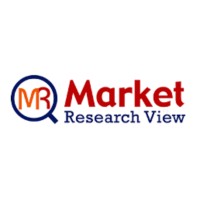 Market Research View logo - Similar company to Market Research Globe