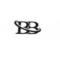 Bakır Bilişim logo - Similar company to Dboptimize