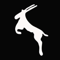 Antelope Camera System GmbH logo - Similar company to Barnfind Technologies As