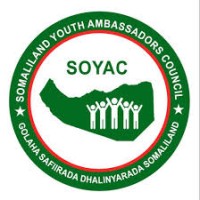 Somaliland Youth Ambassadors Council logo - Similar company to Maxqdata Llc
