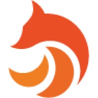 Flowfox logo - Similar company to T-Mining