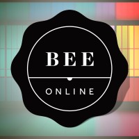 BEE Online Group logo - Similar company to Murason Business Services B-Bbee Pty Ltd