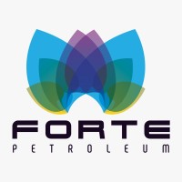 Forte Petroleum ZA logo - Similar company to Megsapp