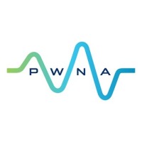 Pulse White Noise Acoustics logo - Similar company to Eltrix