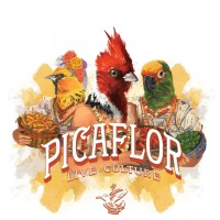 Picaflor Live-Culture logo - Similar company to Welo