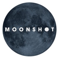 Moonshot Strategies logo - Similar company to Principle Advantage Government Relations Group, Llc