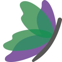 Blumigo logo - Similar company to Boxes & Bows Gmbh