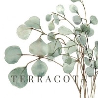 Terracota la florería logo - Similar company to Ijuju.Mx