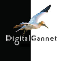 Digital Gannet logo - Similar company to Eye Ads Private Limited