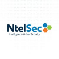 NtelSec, Inc. logo - Similar company to Solve Who