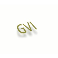 GVI - Video Production in Washington, DC logo - Similar company to Video Cartel