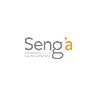 Seng'a logo - Similar company to Jet Molecule