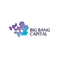 Big Bang Capital Pte Ltd logo - Similar company to Big Bang Tech
