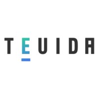 TEUIDA logo - Similar company to Talk To Me In Korean
