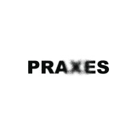 PRAXES OFFICIAL logo - Similar company to Dtc Technology Co., Ltd