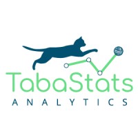 TabaStats Analytics logo - Similar company to Velocity Datatech