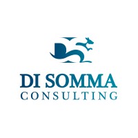 Di Somma Consulting logo - Similar company to Virgo Insurance