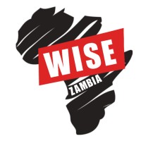 WISE Zambia logo - Similar company to Mergdata Intelligence