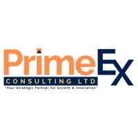 PrimeEx Consulting Ltd logo - Similar company to Niko Creative Kenya