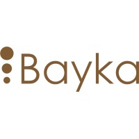 Bayka Basic logo - Similar company to 25 Project Creative Design