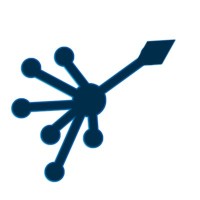 Cognidius Solutions logo - Similar company to Webumate