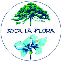 AYCA LA FLORA Hotel Boutique logo - Similar company to Istic Under The Auspices Of Unesco