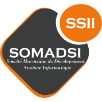 SOMADSI SSII logo - Similar company to Logista It