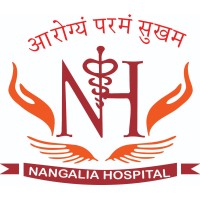 Nangalia Hospital Gorakhpur logo - Similar company to Noticeable One | Stand Out In The Digital Crowd