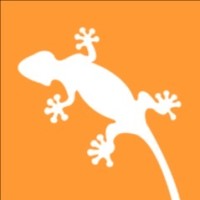 Gecko Solar Energy logo - Similar company to Solar Baja
