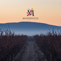AOC Minervois Officiel logo - Similar company to Visit For You