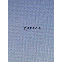 Parade logo - Similar company to Rádio E Televisão De Timor-Leste