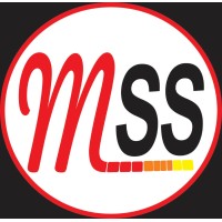 Mexico Slot&Software Services logo - Similar company to Slot One Technologies