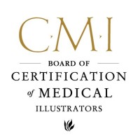 Board of Certification of Medical Illustrators logo - Similar company to Body Scientific International