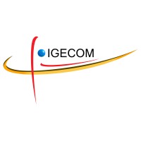 IGECOM logo - Similar company to Startec Solution