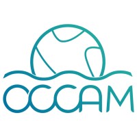 OCCAM Project logo - Similar company to Blueboost Project