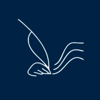 Writers Capital International Foundation logo - Similar company to Professionaid