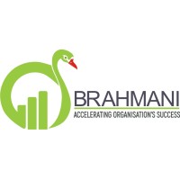 Brahmani Business Management Pvt. Ltd. logo - Similar company to Advonik Business Management Consulting Private Limited