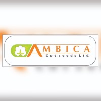 Ambica Cotseeds Ltd. logo - Similar company to Amar