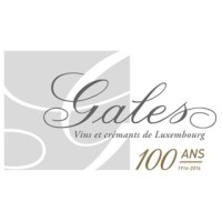Caves Gales logo - Similar company to Amv Safety