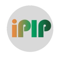 Irish Pakistani IT Professionals logo - Similar company to Irish Pakistani Professionals Association (Ippa)