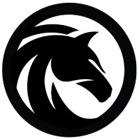 Black Stallion logo - Similar company to Z A D A