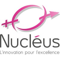 NUCLEUS logo - Similar company to Celtic Freight Consulting