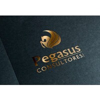 Pegasus Consultores S.A.C. logo - Similar company to Inssma