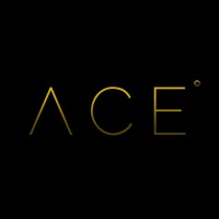 Ace - Slemani logo - Similar company to Ot Grup