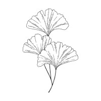 Ginkgo Languages & Consulting logo - Similar company to Mingle Advisors | 梦路