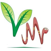 VerdeMente Soluções Sustentáveis logo - Similar company to Florestas Inteligentes