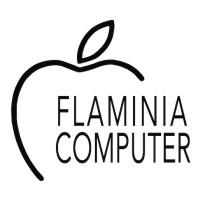 FLAMINIA COMPUTER logo - Similar company to Bagnetti Srl
