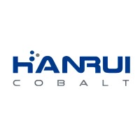PT. Hanrui Nickel Indonesia logo - Similar company to Hanrui Puzer Bulk Handling Technology （Shanghai） Co.,Ltd