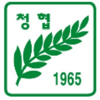 The National Council Of Youth Organizations In Korea