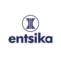 Entsika Consulting Services logo - Similar company to Pragmatic Thinking